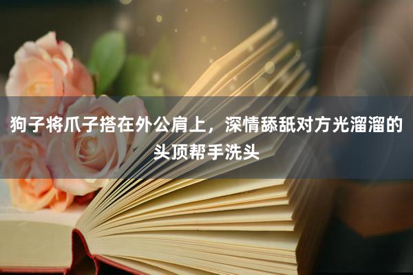 狗子将爪子搭在外公肩上，深情舔舐对方光溜溜的头顶帮手洗头