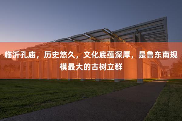 临沂孔庙，历史悠久，文化底蕴深厚，是鲁东南规模最大的古树立群